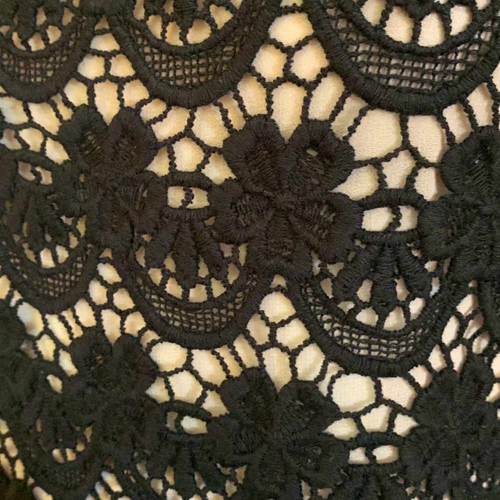 Philosophy Alberta Ferreti Lace Dress. Sz 10 - Picture 6 of 6